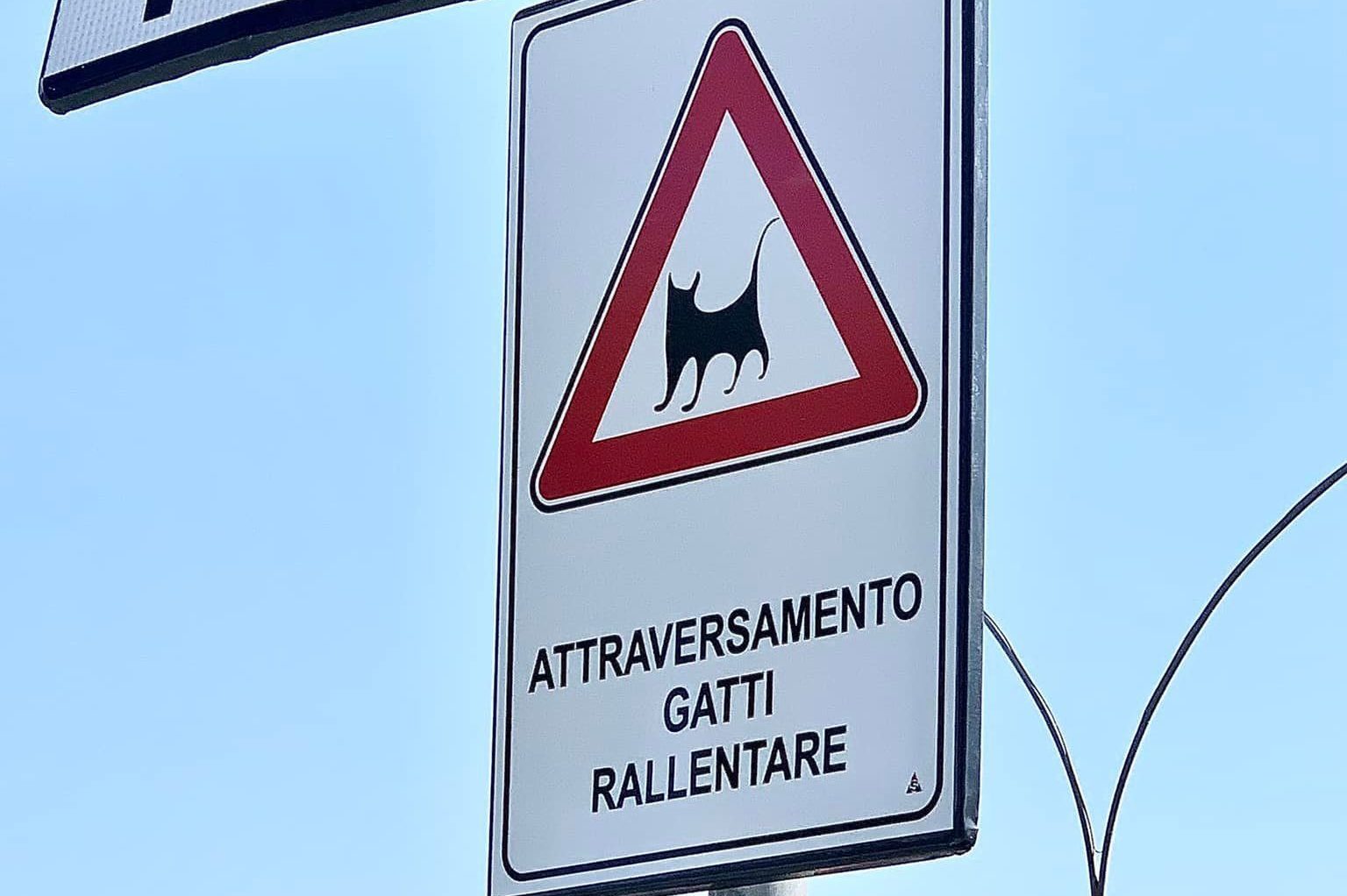 Attraversamento-gatti-cartello