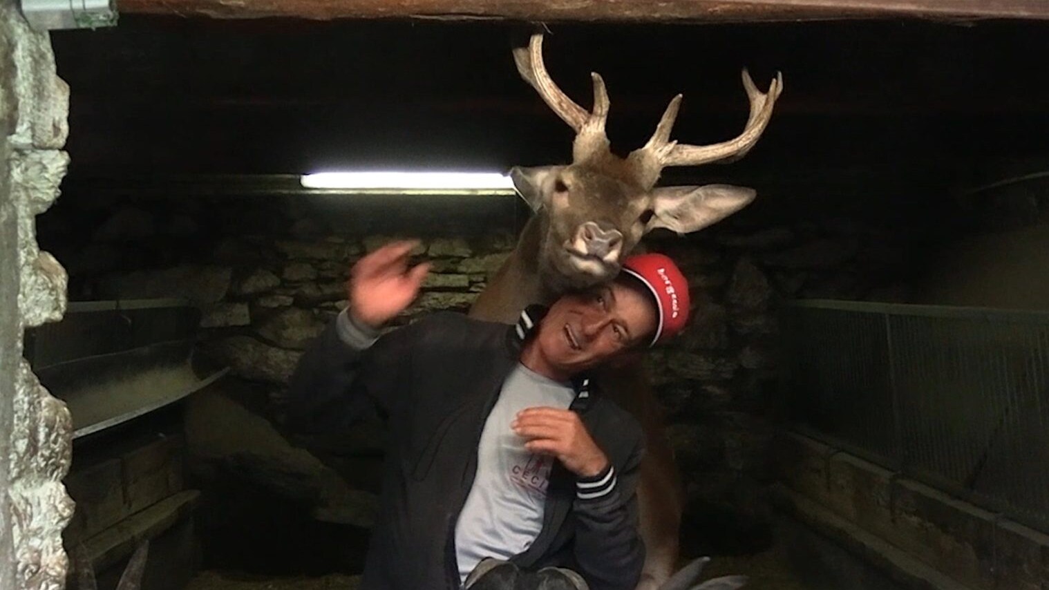 Immagine