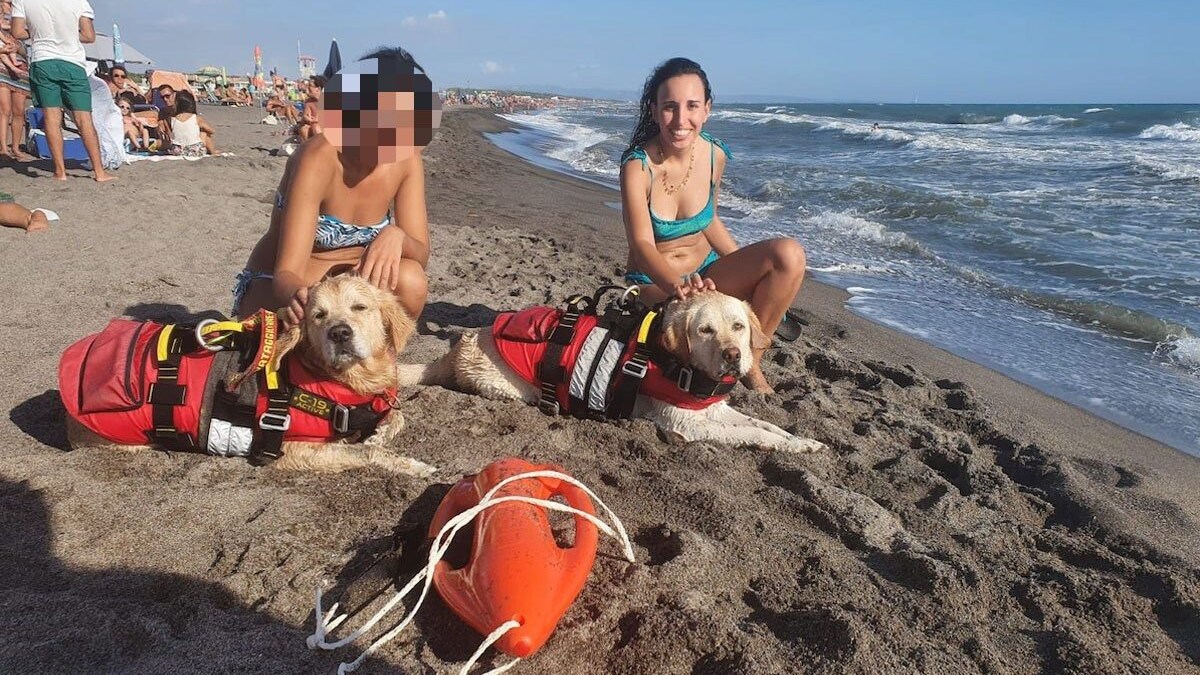cani salvataggio