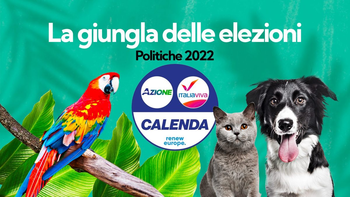 Immagine