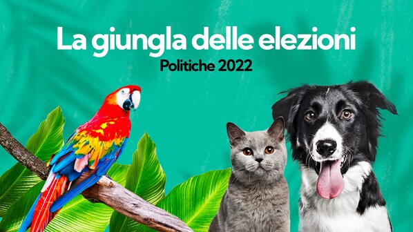 Immagine