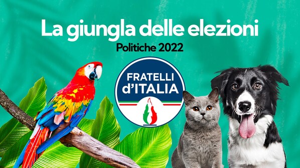 Immagine