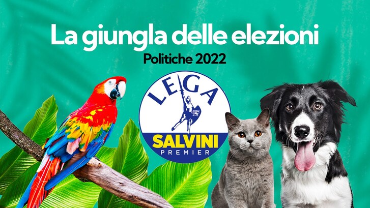 Immagine