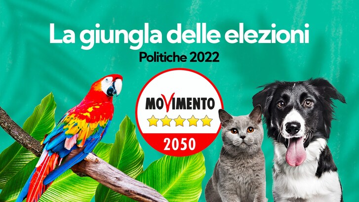 Immagine