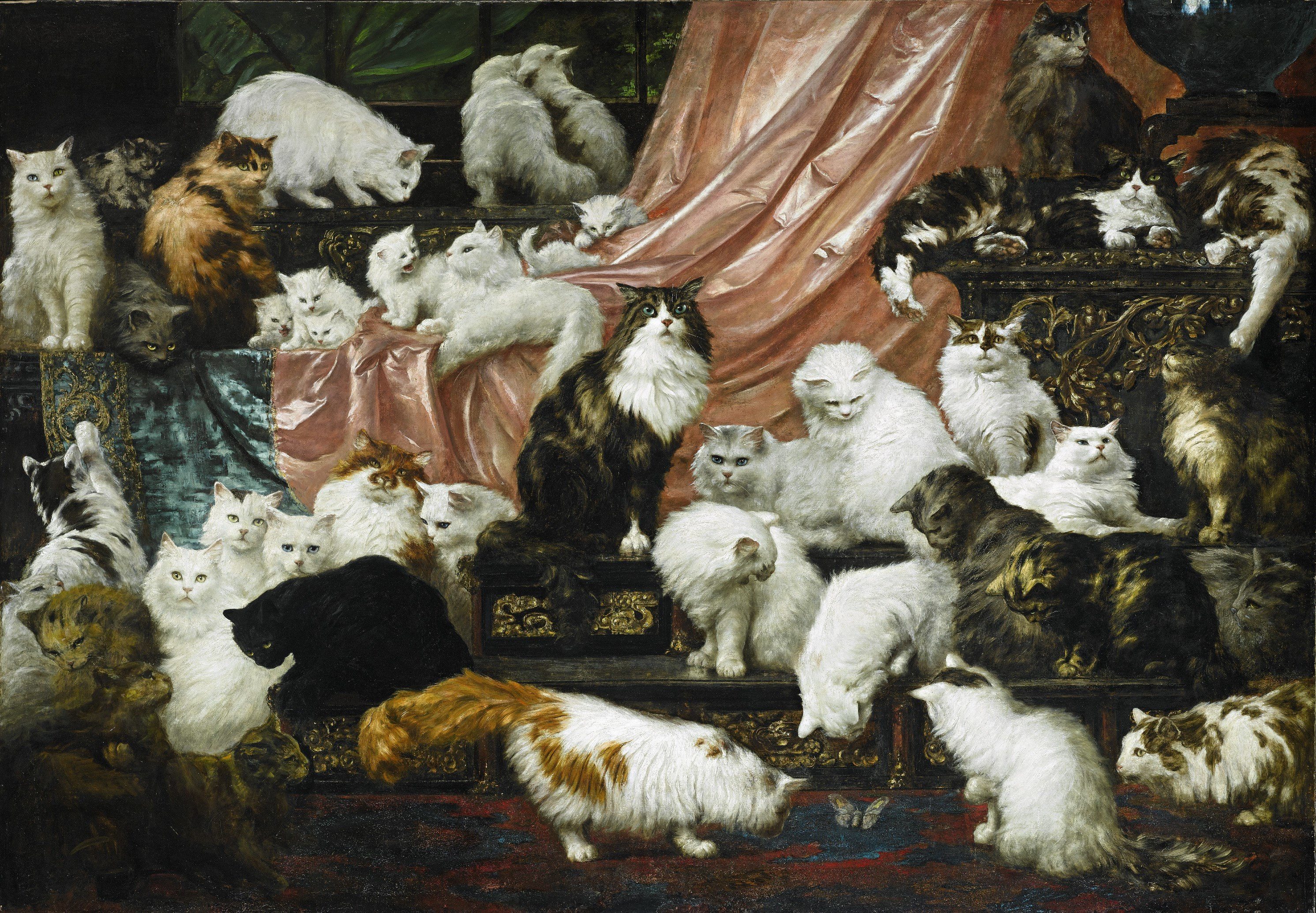 gatti arte