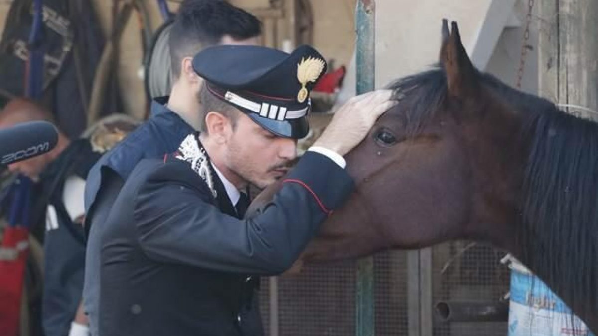 cavallo casal di principe