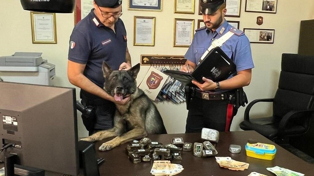Immagine