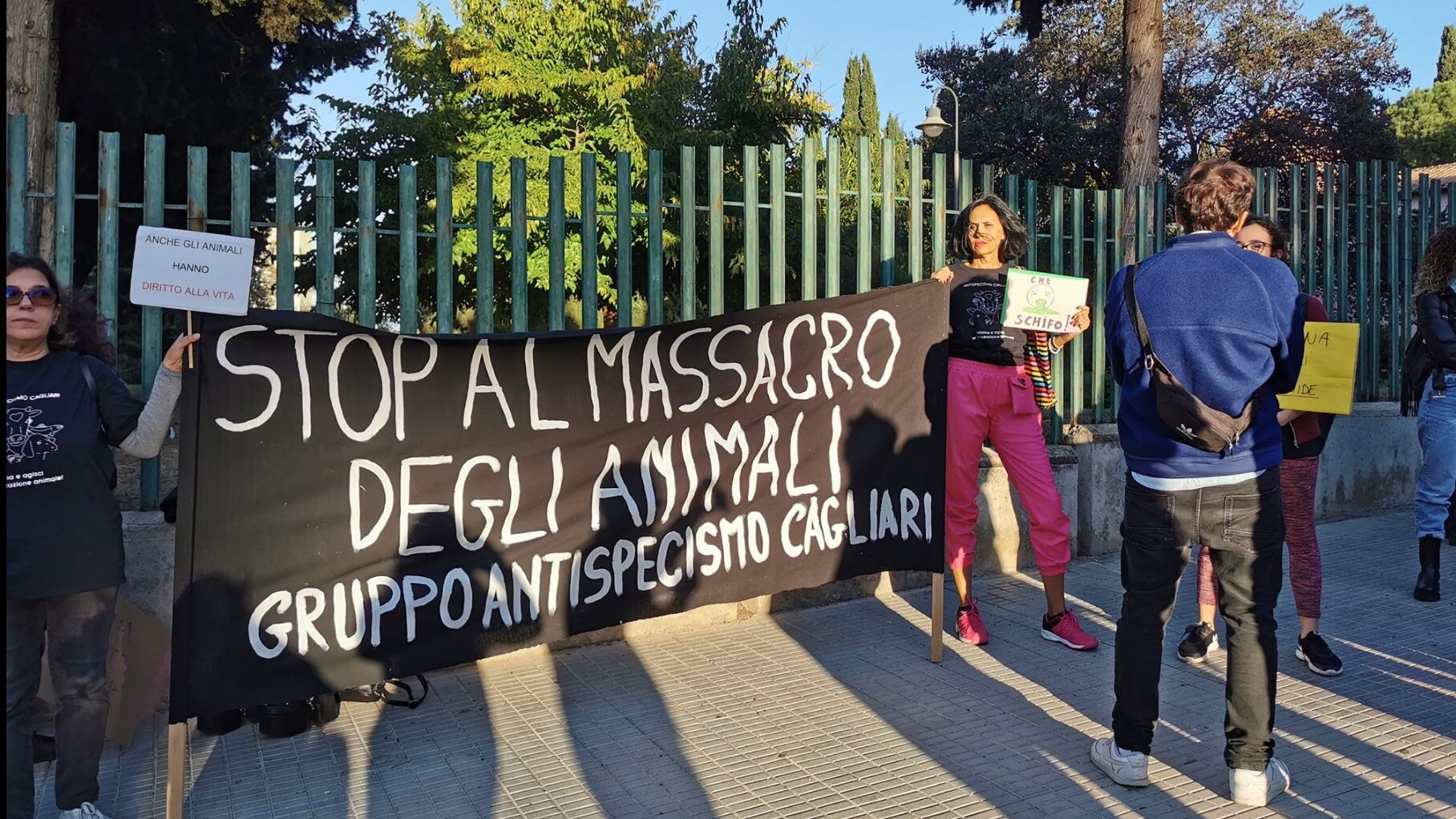 Immagine
