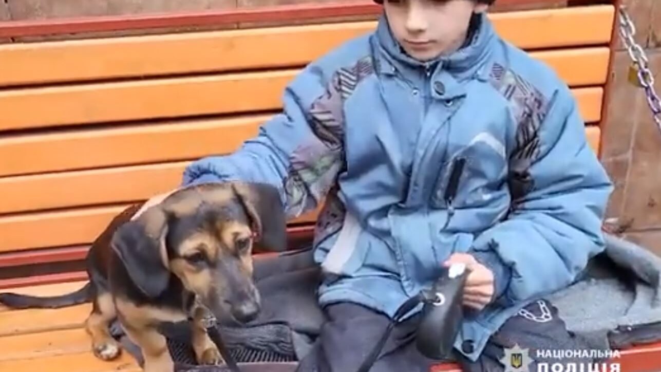 Immagine