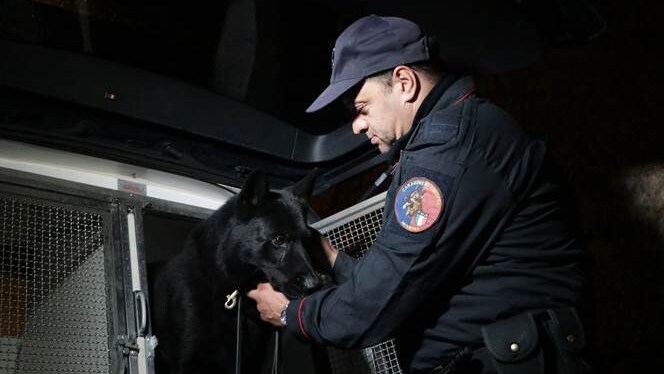 cane carabinieri