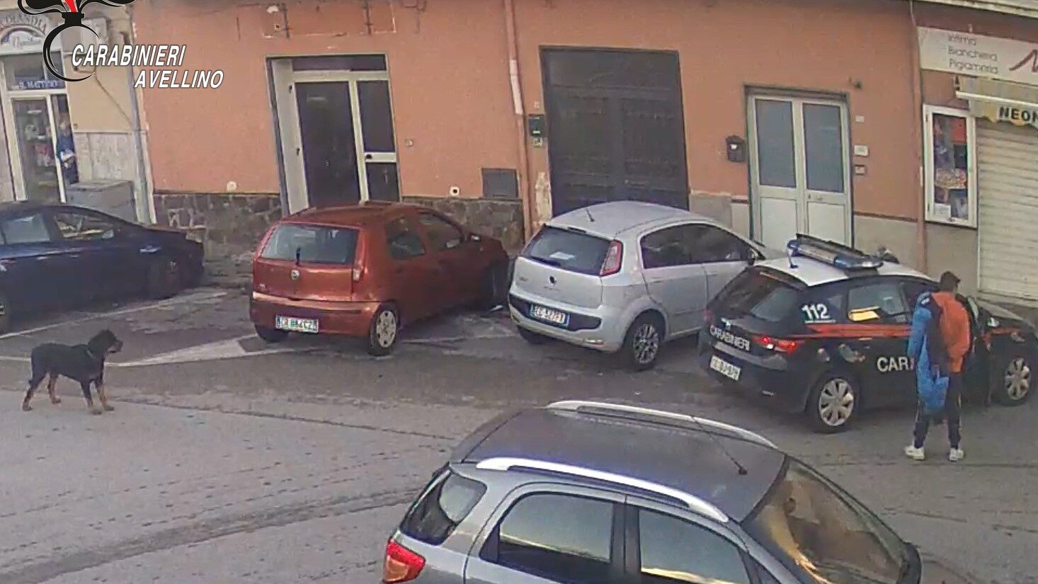 cane-carabinieri-baiano-arrestato