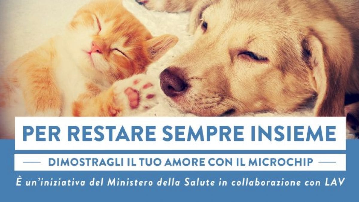 campagna ministero salute