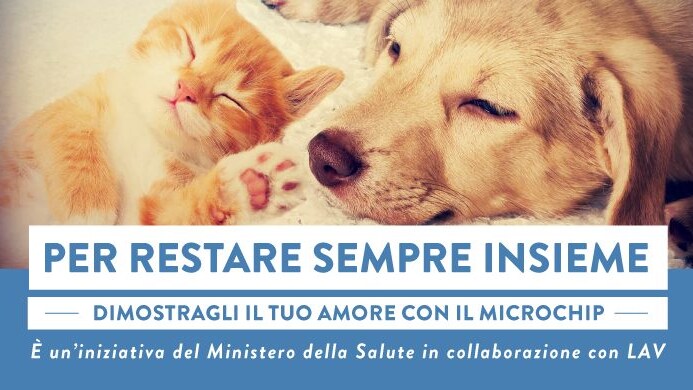 campagna ministero salute