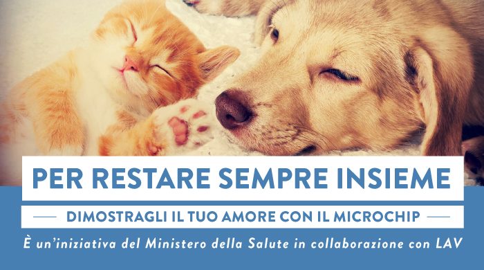 campagna ministero salute