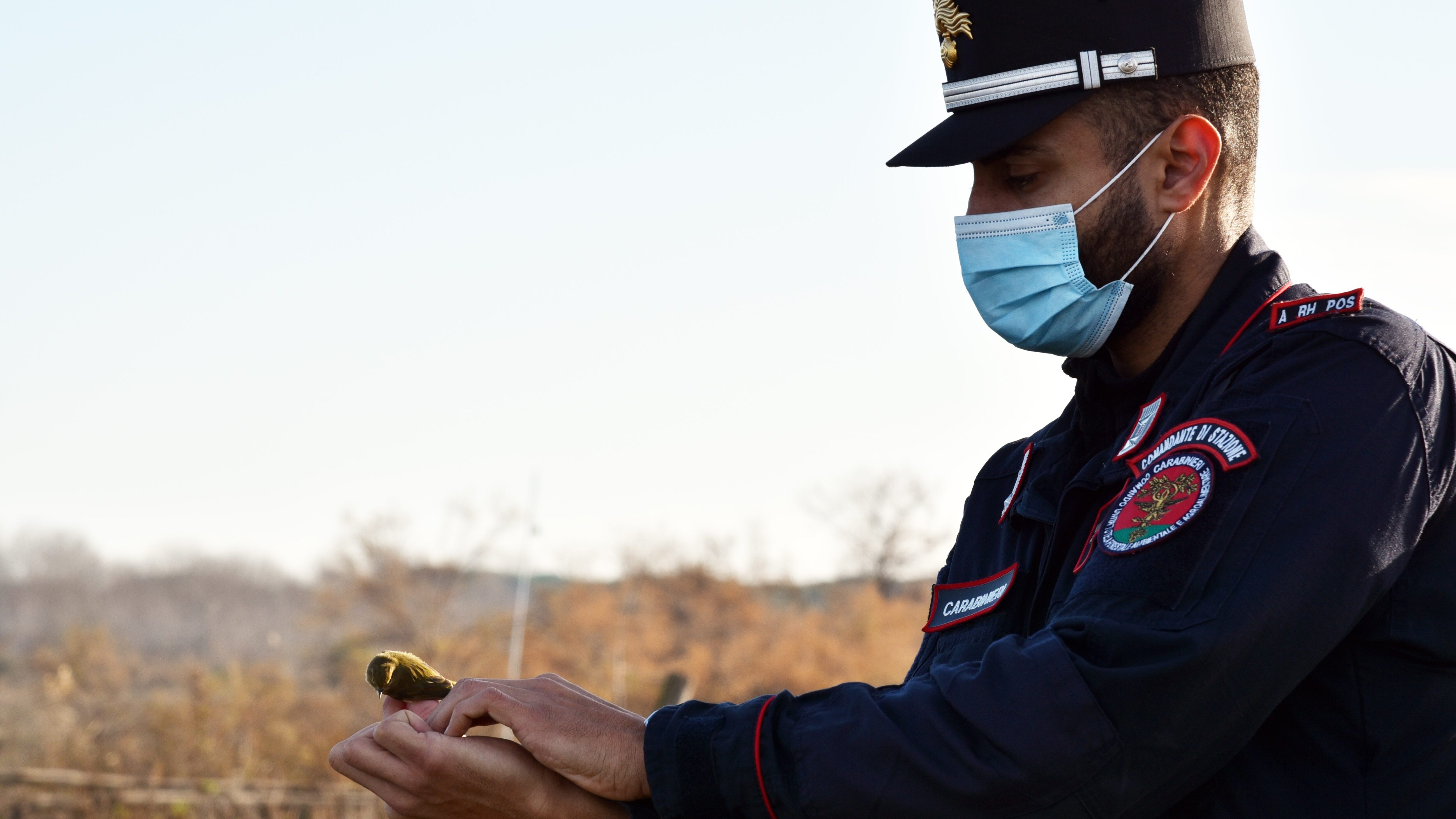 Carabinieri Cites
