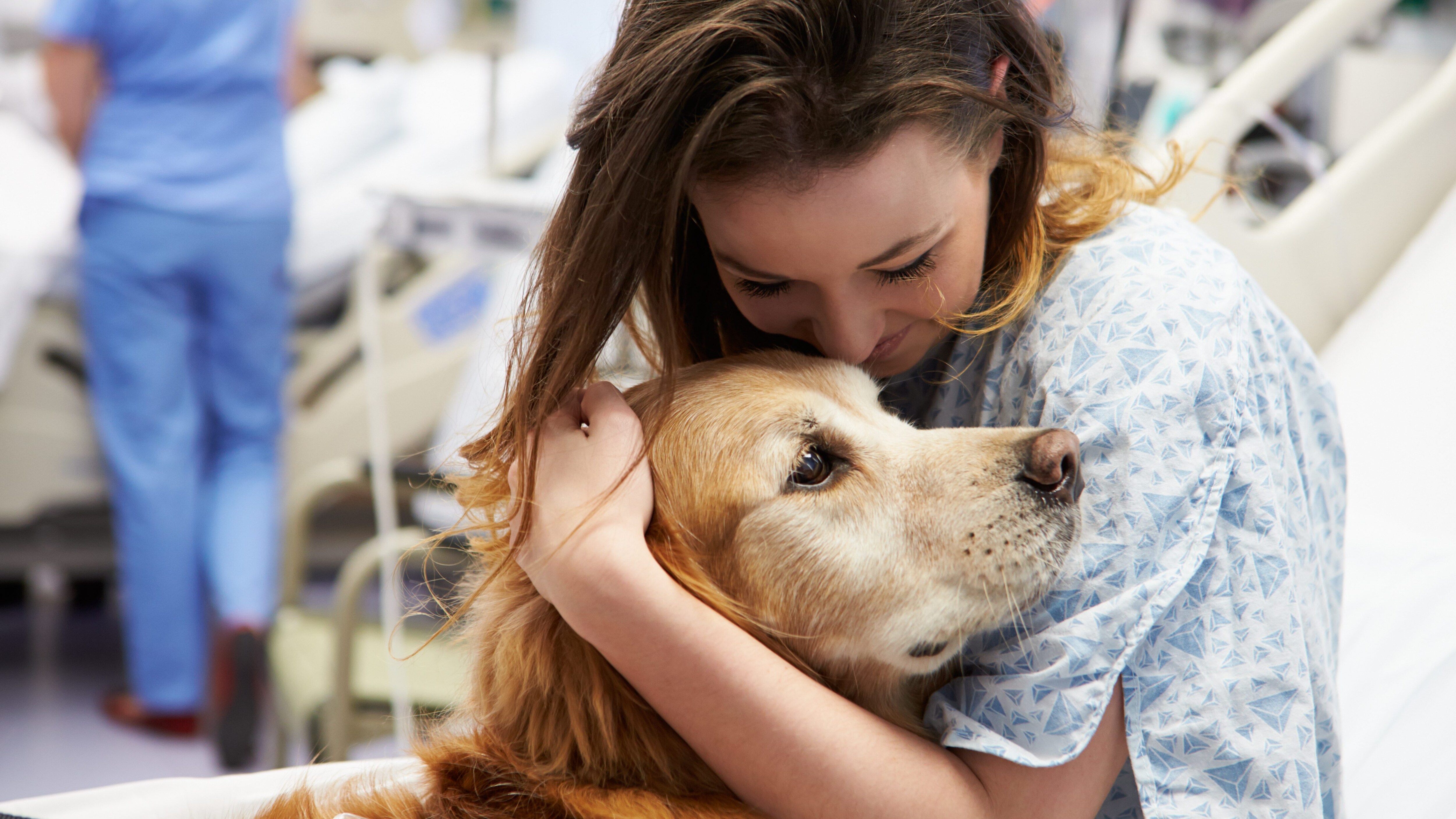 cani ospedale