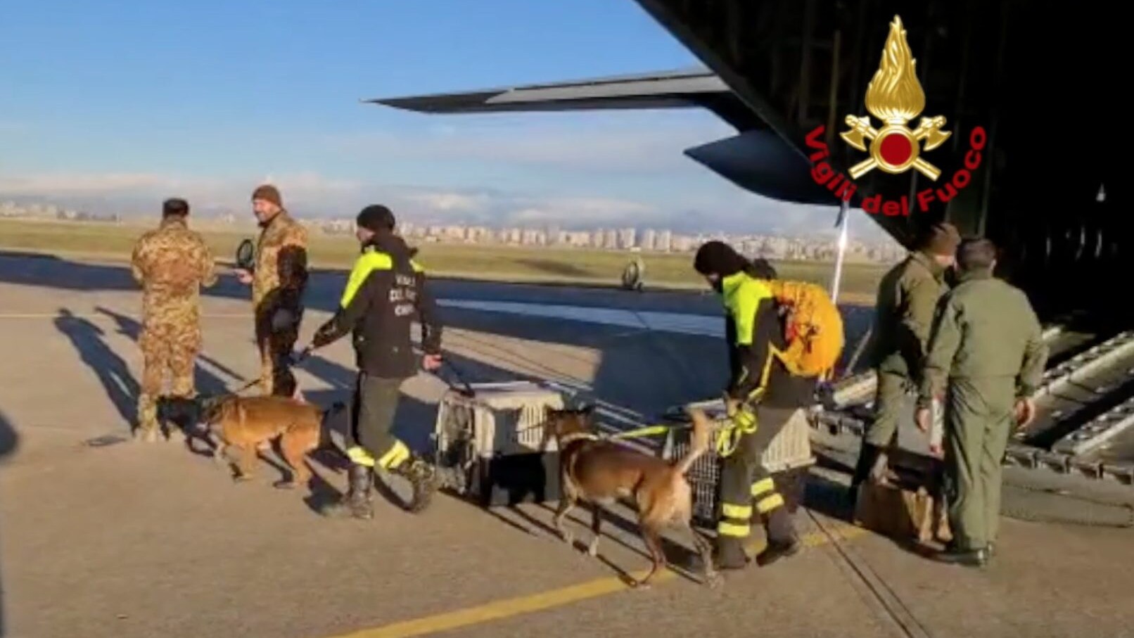 cani vigili del fuoco