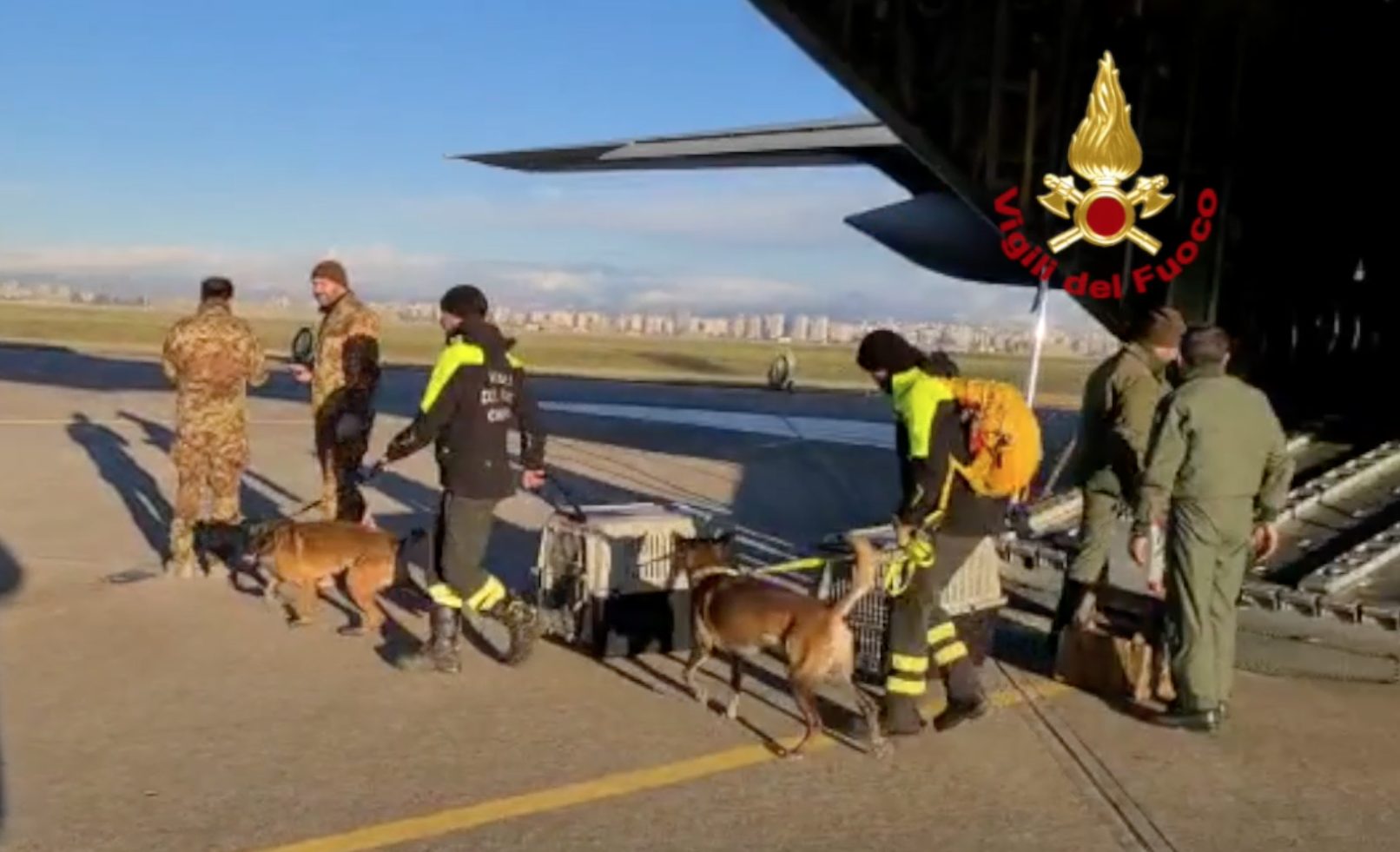 cani vigili del fuoco