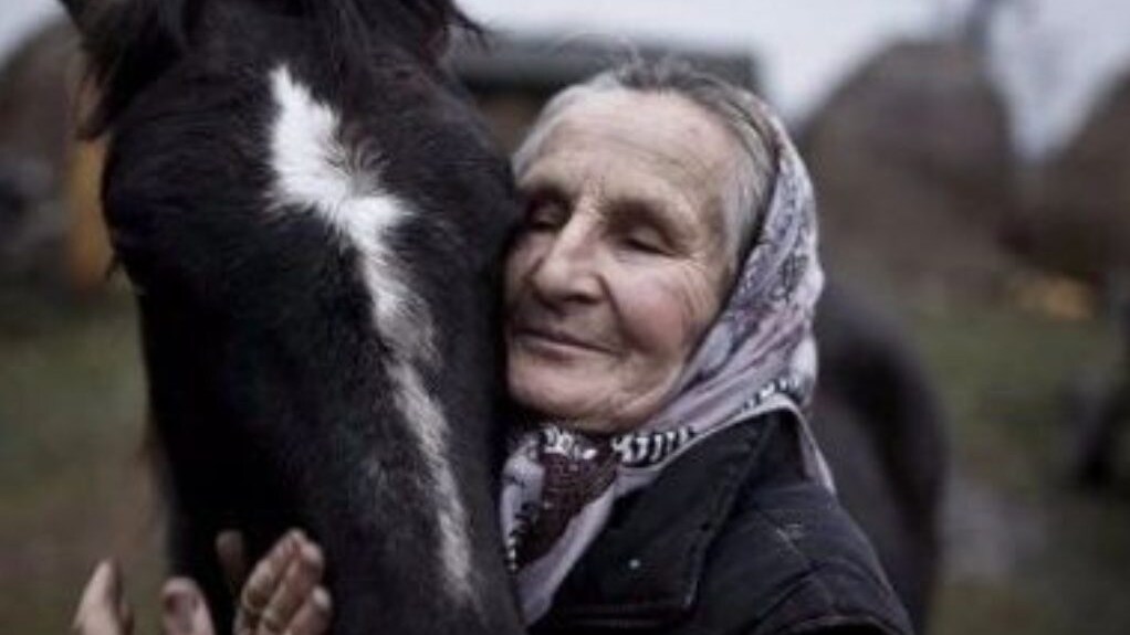 Immagine