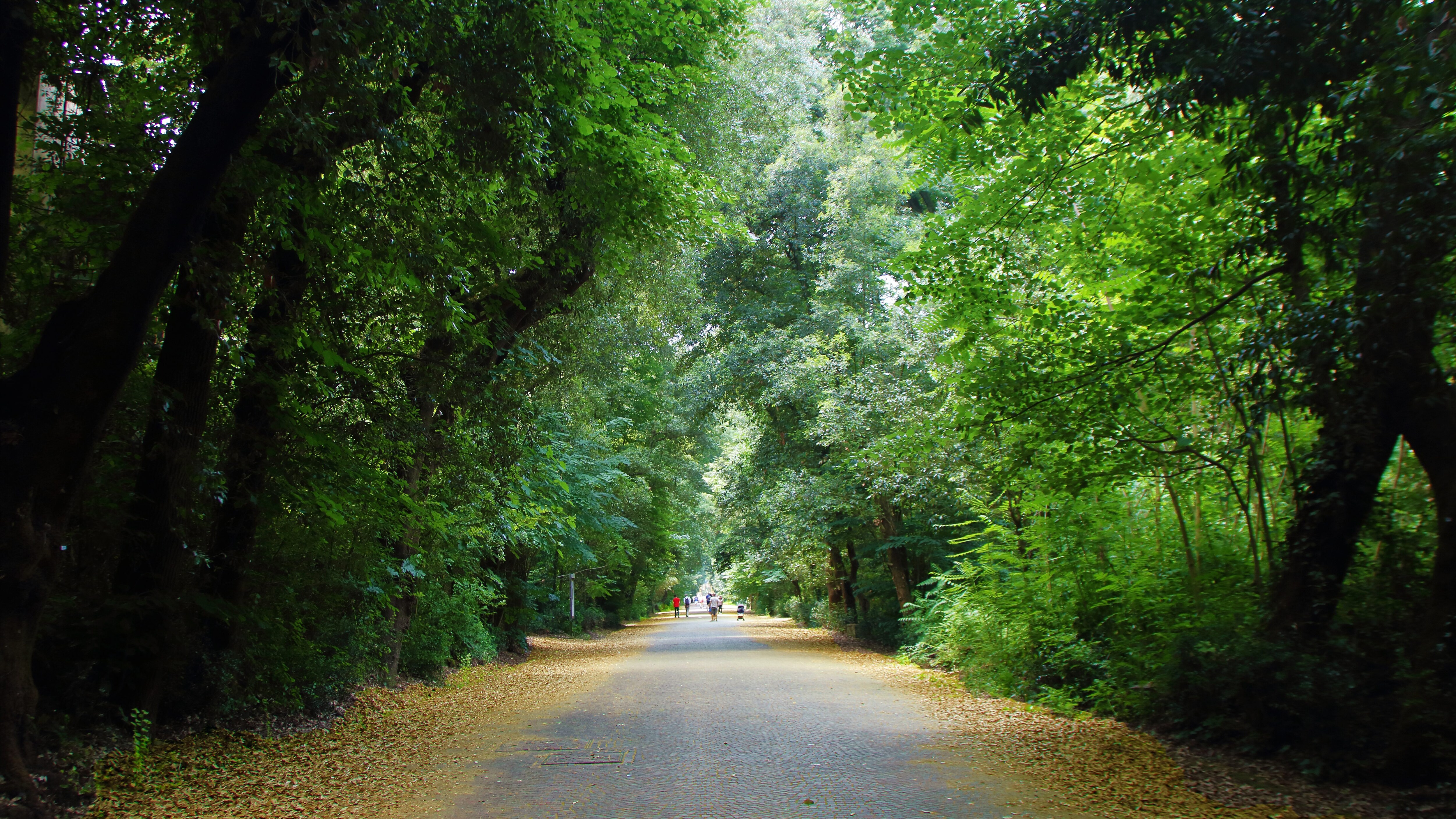Bosco capodimonte