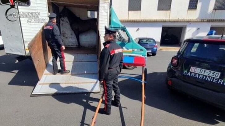 Credit Catania Today
