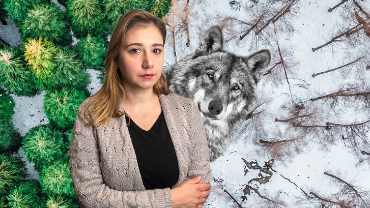 Giornata mondiale fauna selvatica