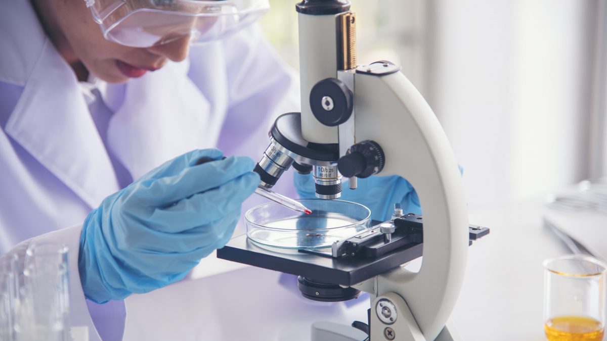 laboratorio