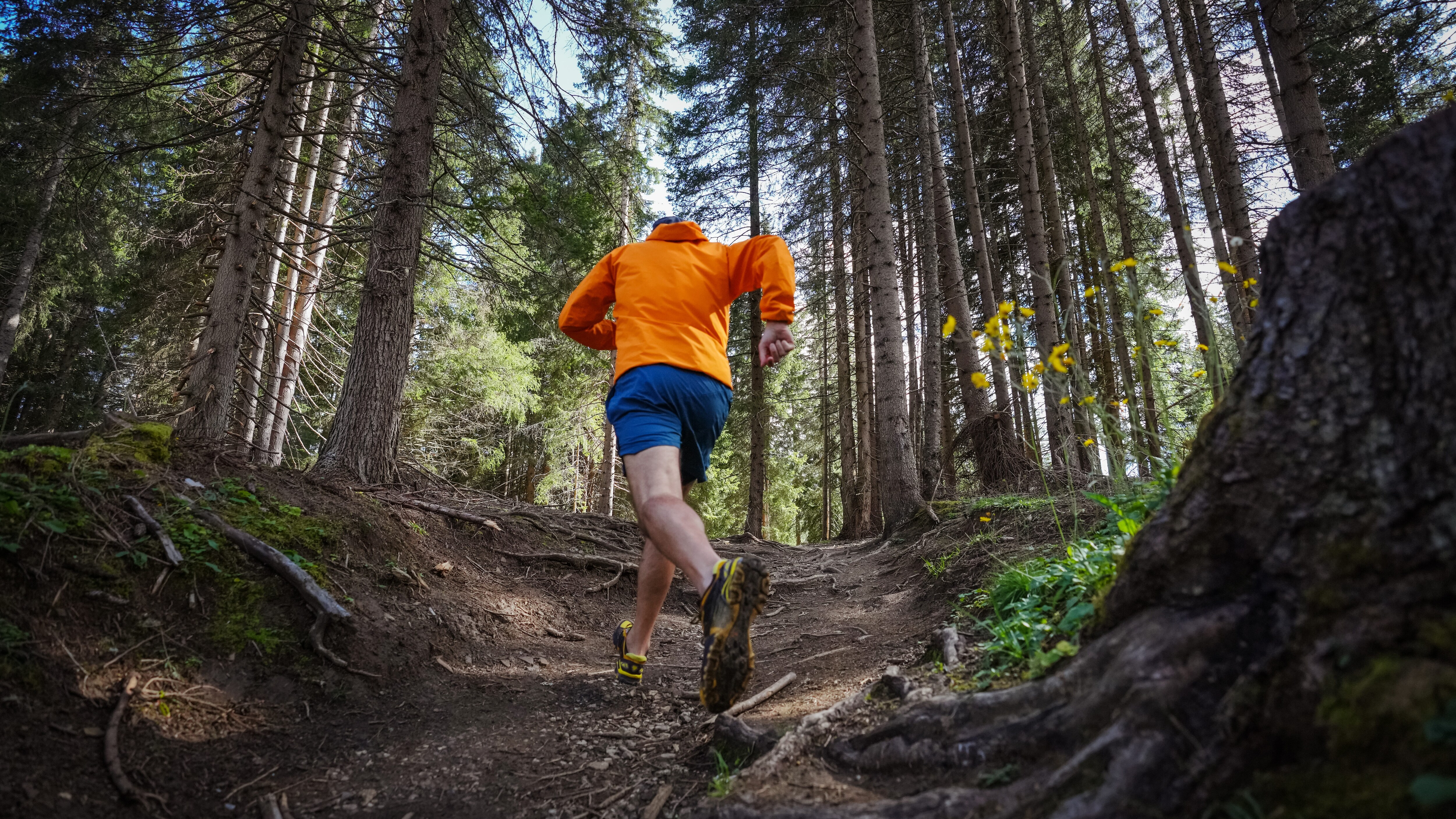 runner