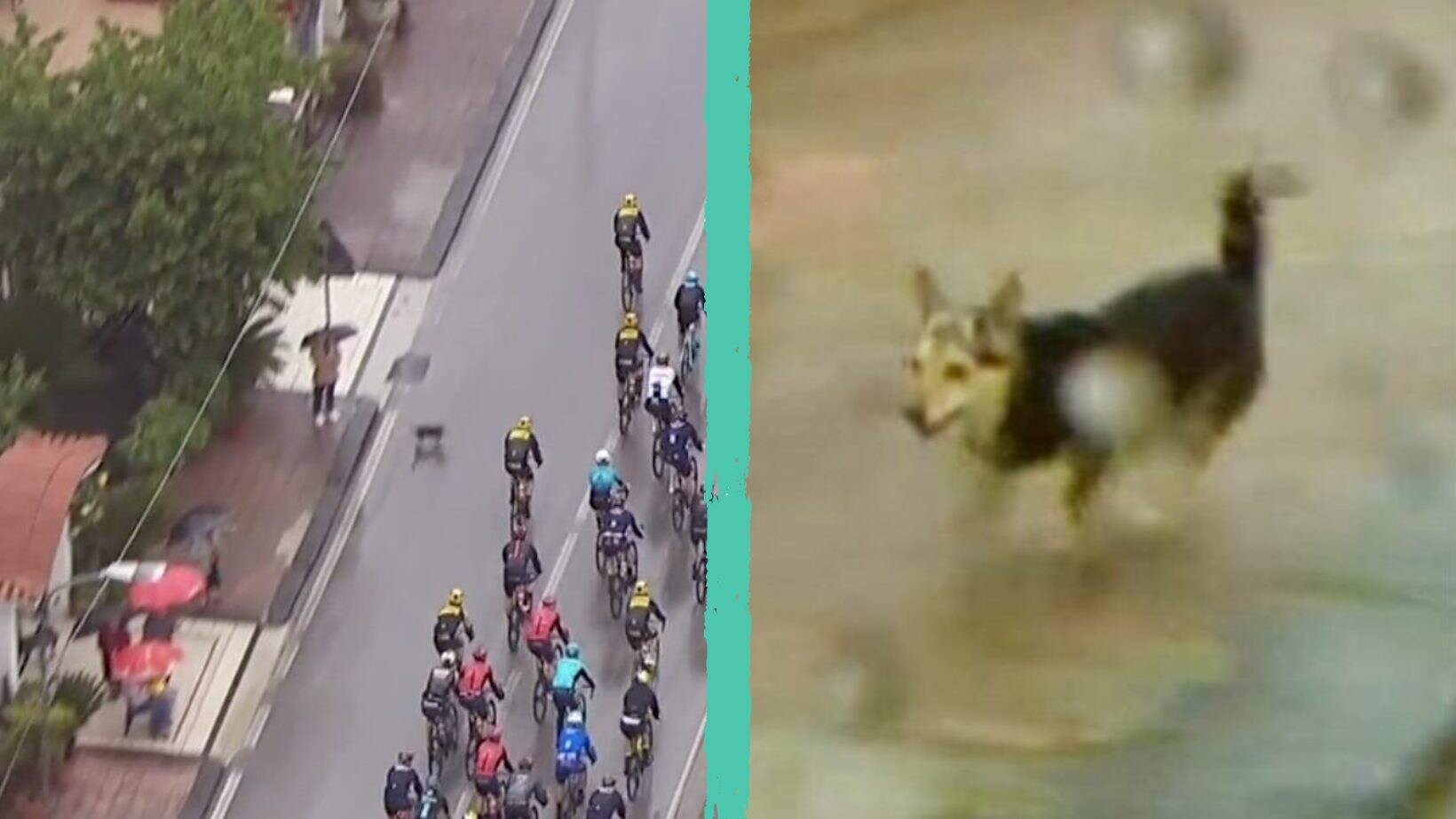 giro d'italia