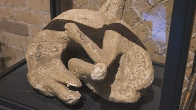 cane pompei