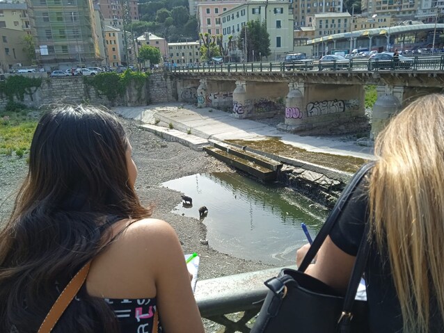 Immagine