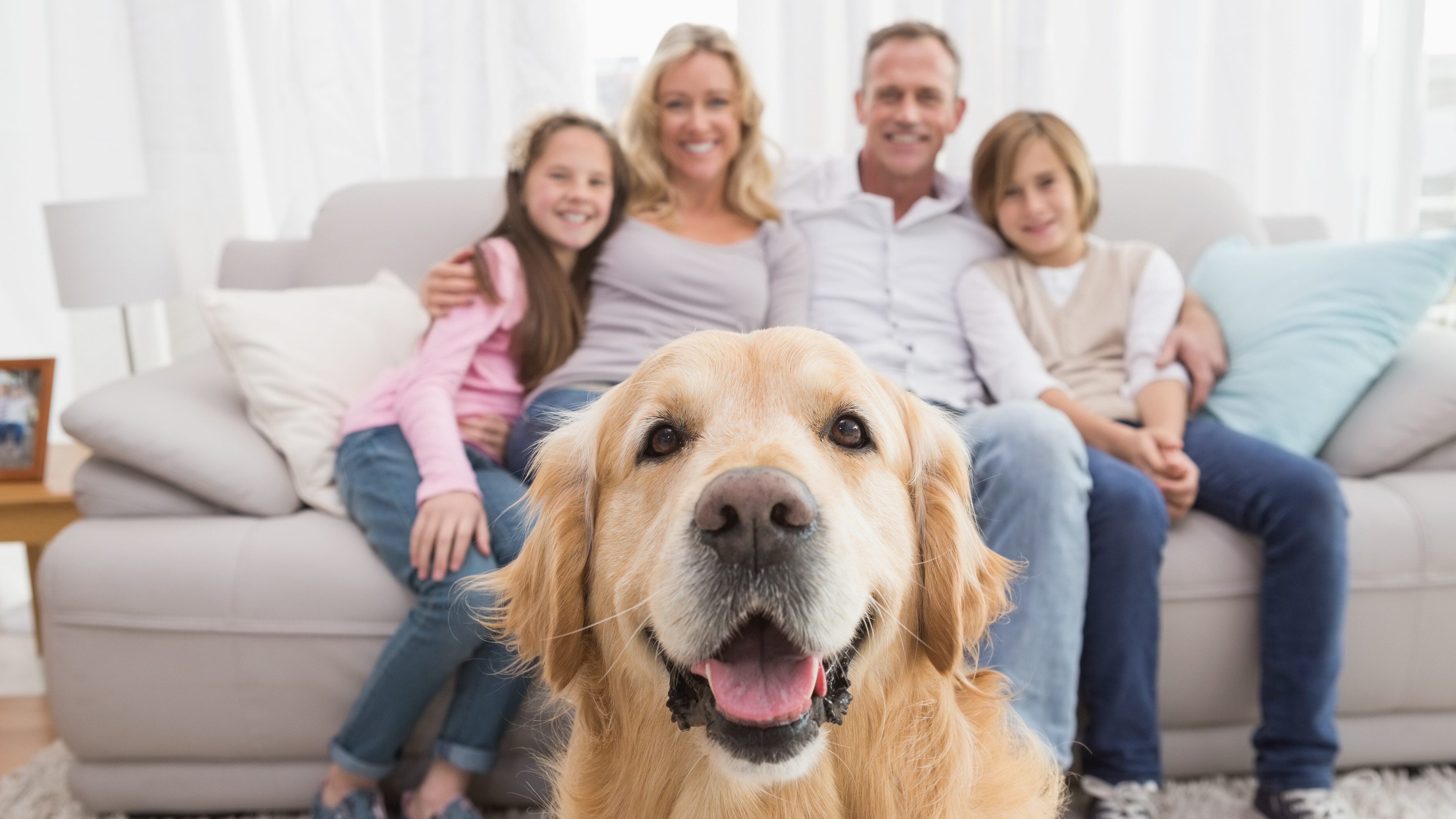 cane famiglia