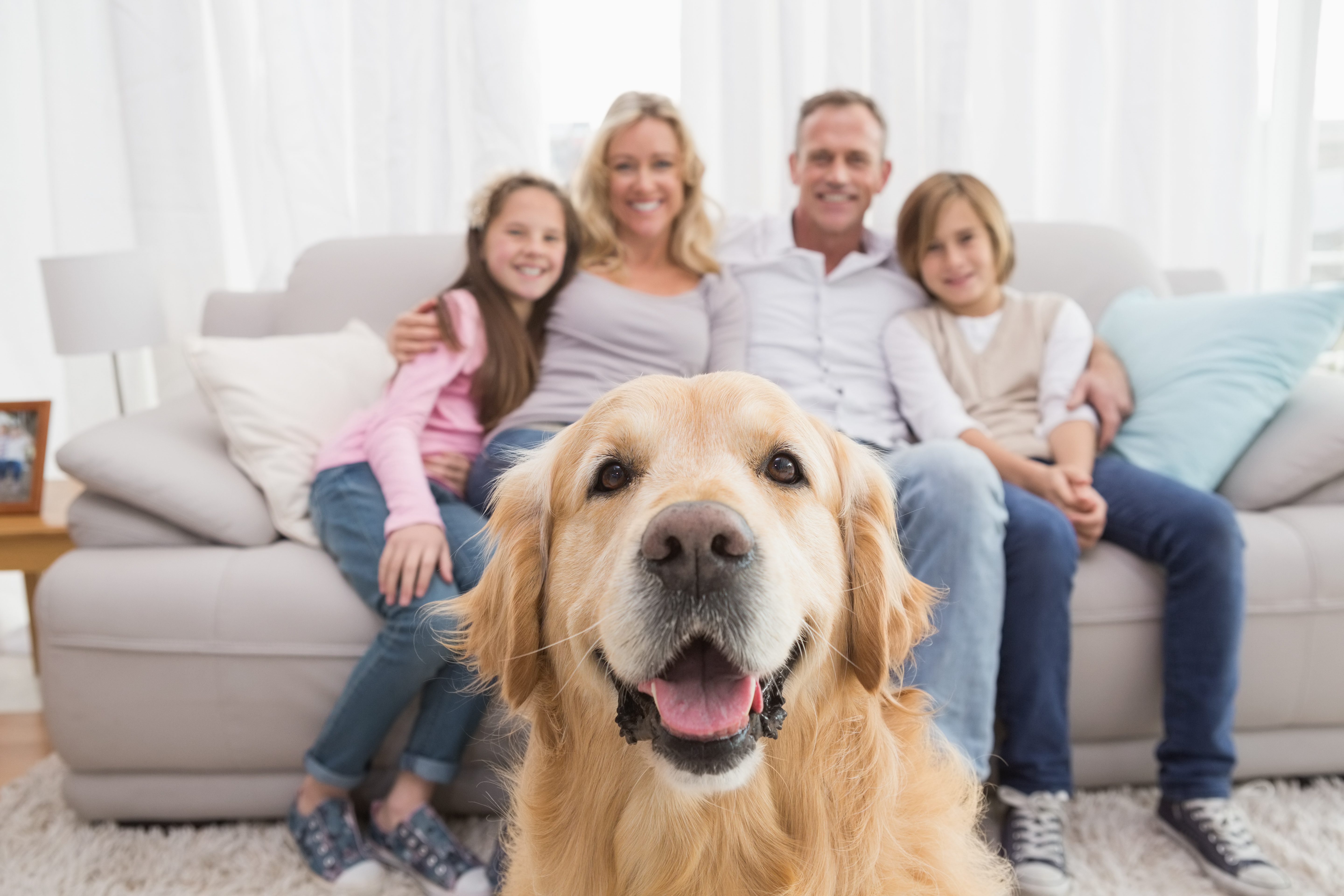 cane famiglia