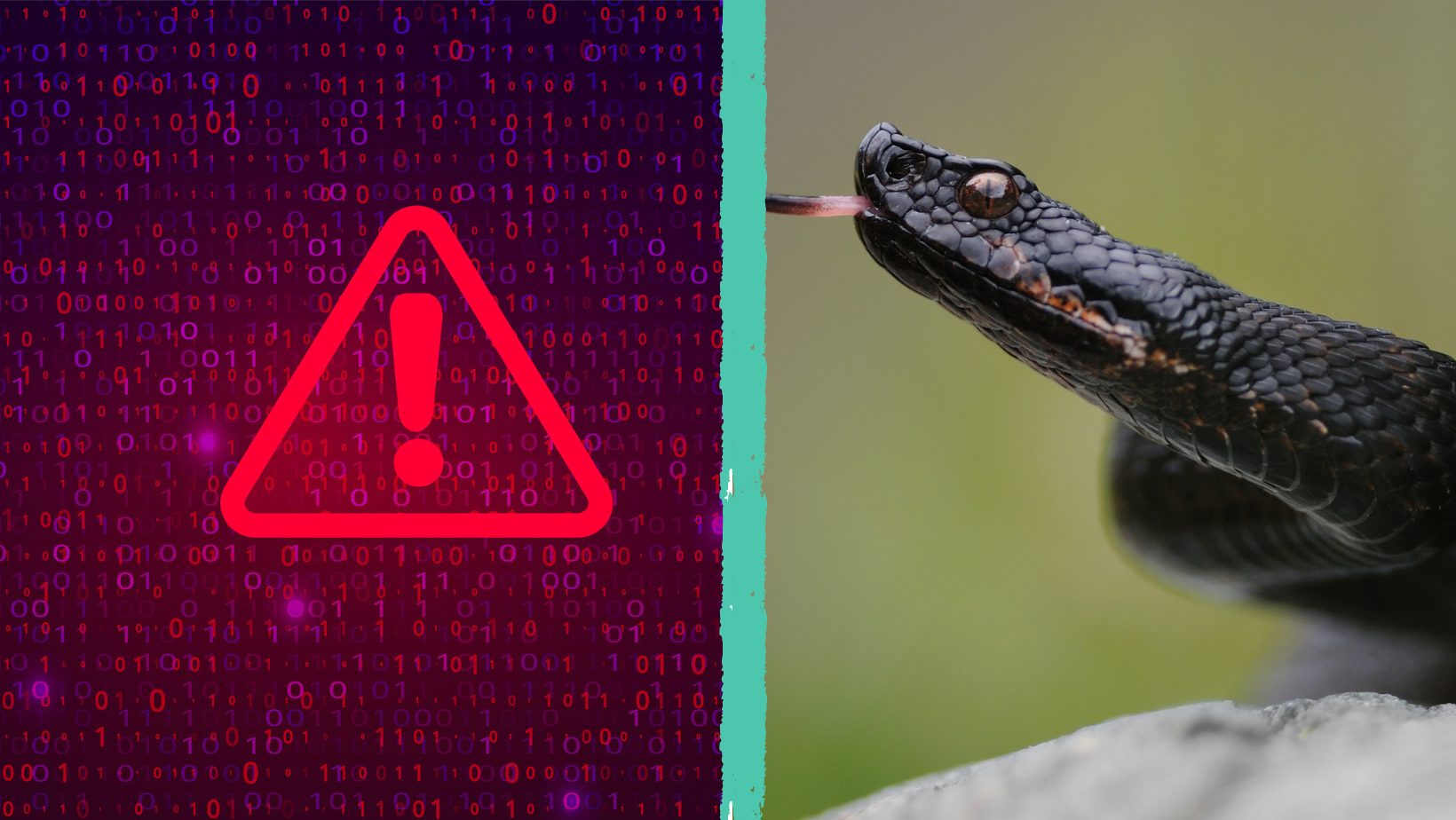 Perché Snake e altri virus informatici si chiamano come gli animali