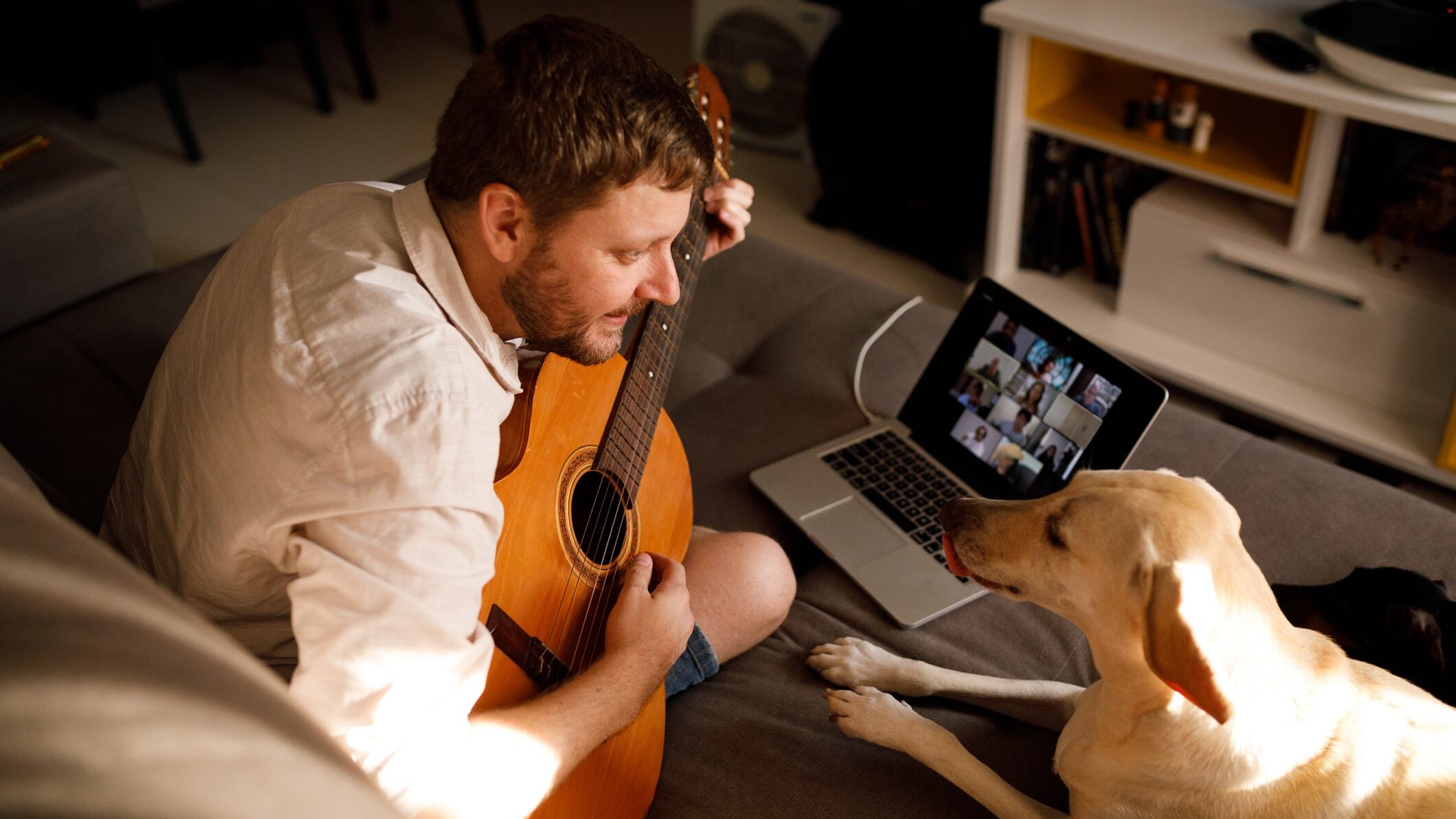 cane musica