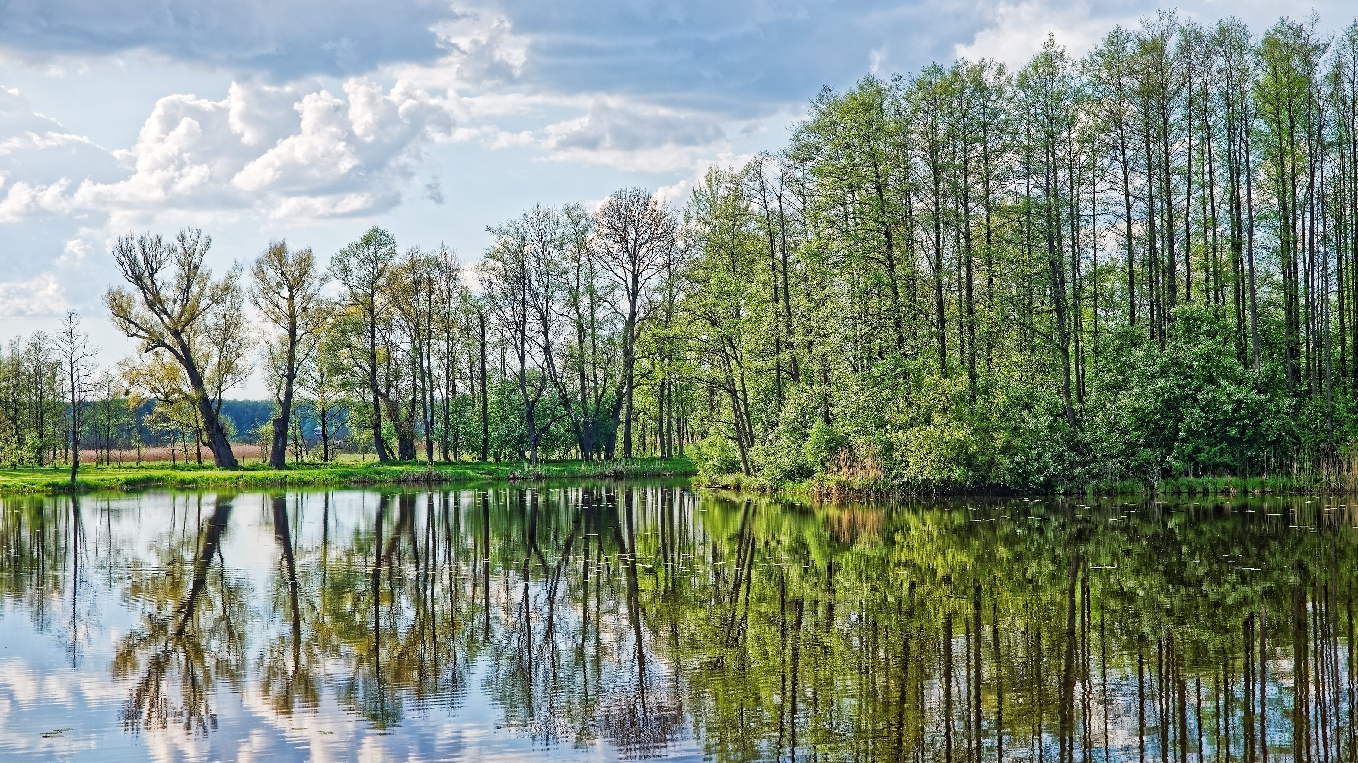 Parco Nazionale di Bialowieza