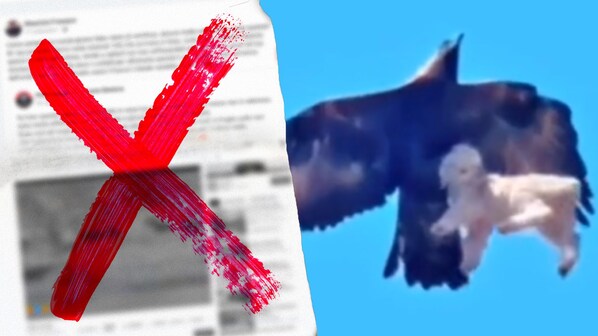 aquila debunking