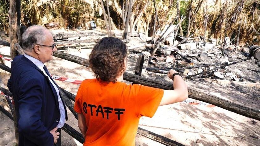 gualtieri fattorietta