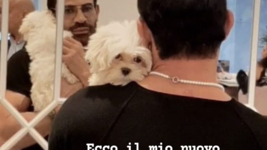 Immagine