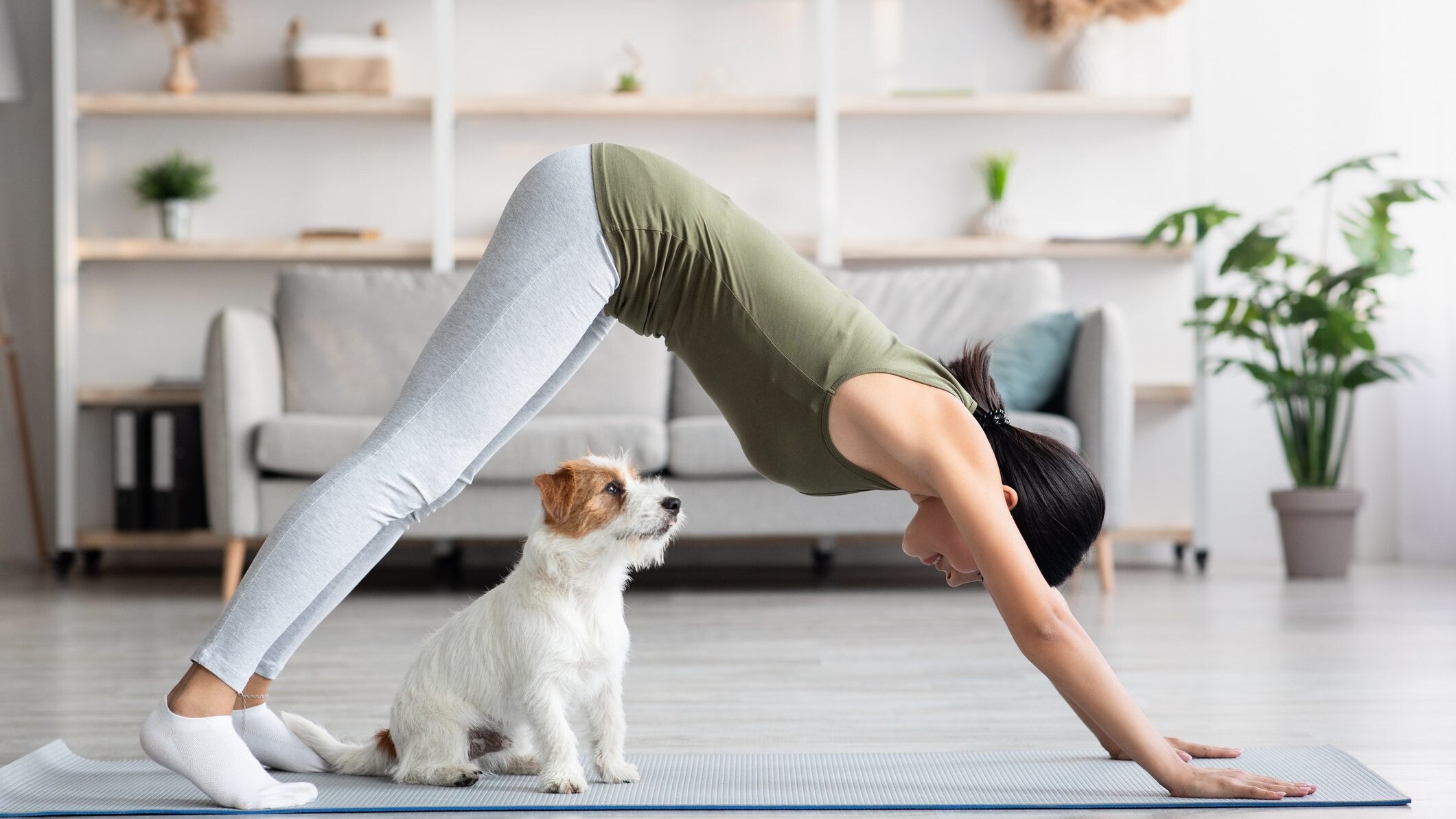 puppy yoga