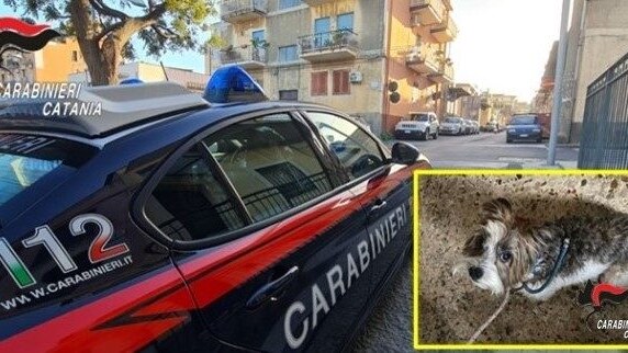 Immagine