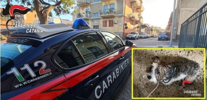 Immagine