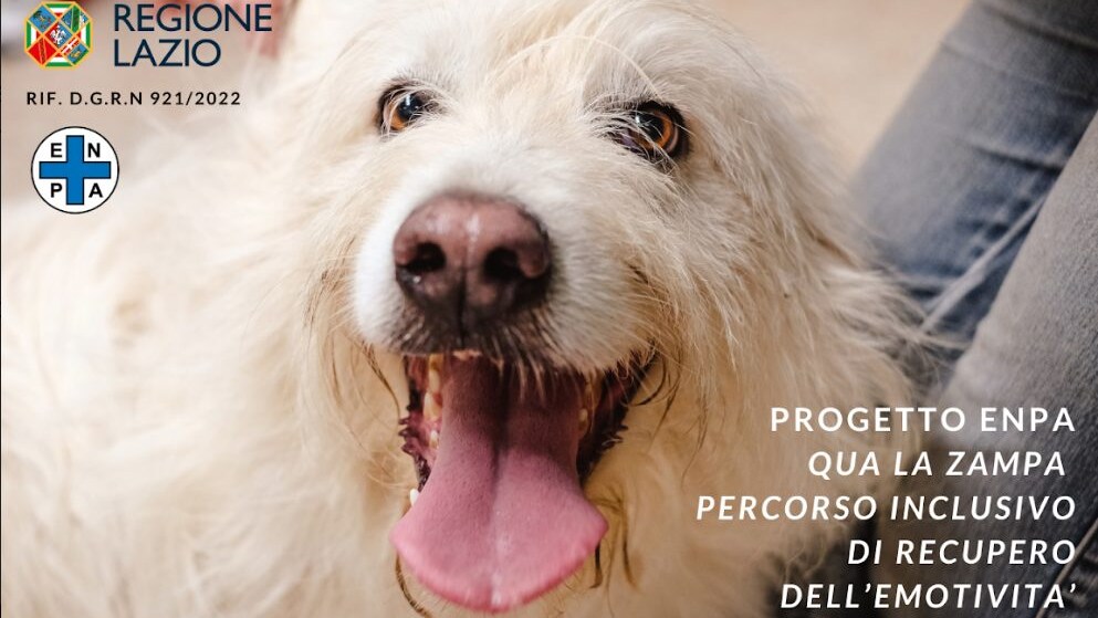 Il progetto Qua la zampa di Enpa Viterbo con i detenuti