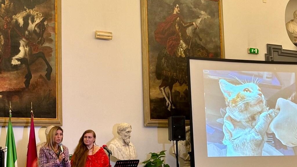 Giada Bernardi mostra la foto del gatto Leone a Roma