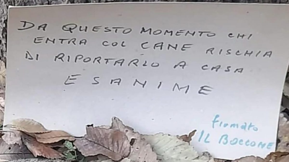 Immagine