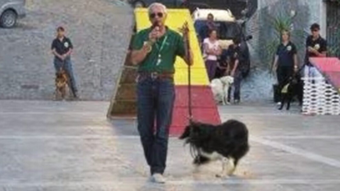 Immagine