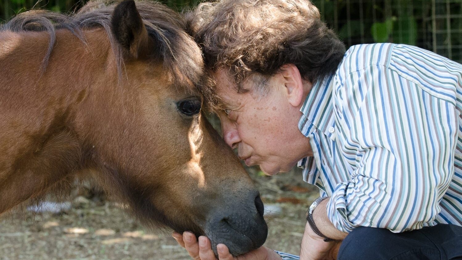 Massimo Wertmüller