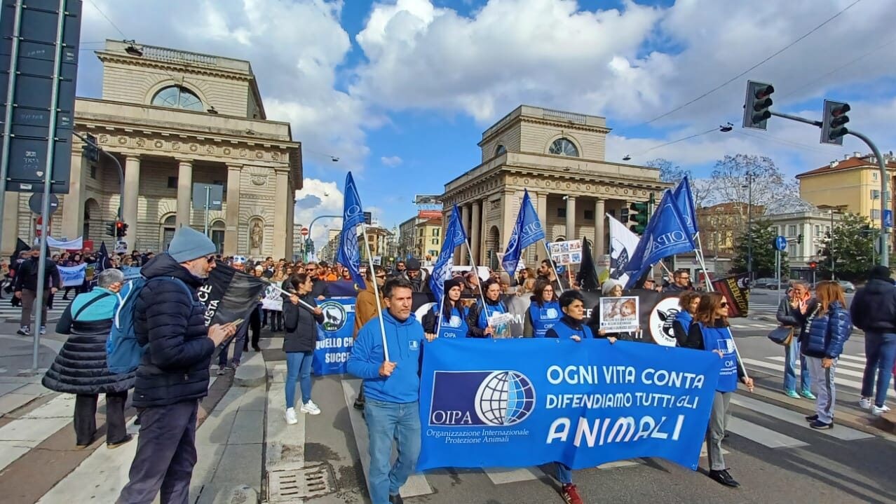 La manifestazione di Milano