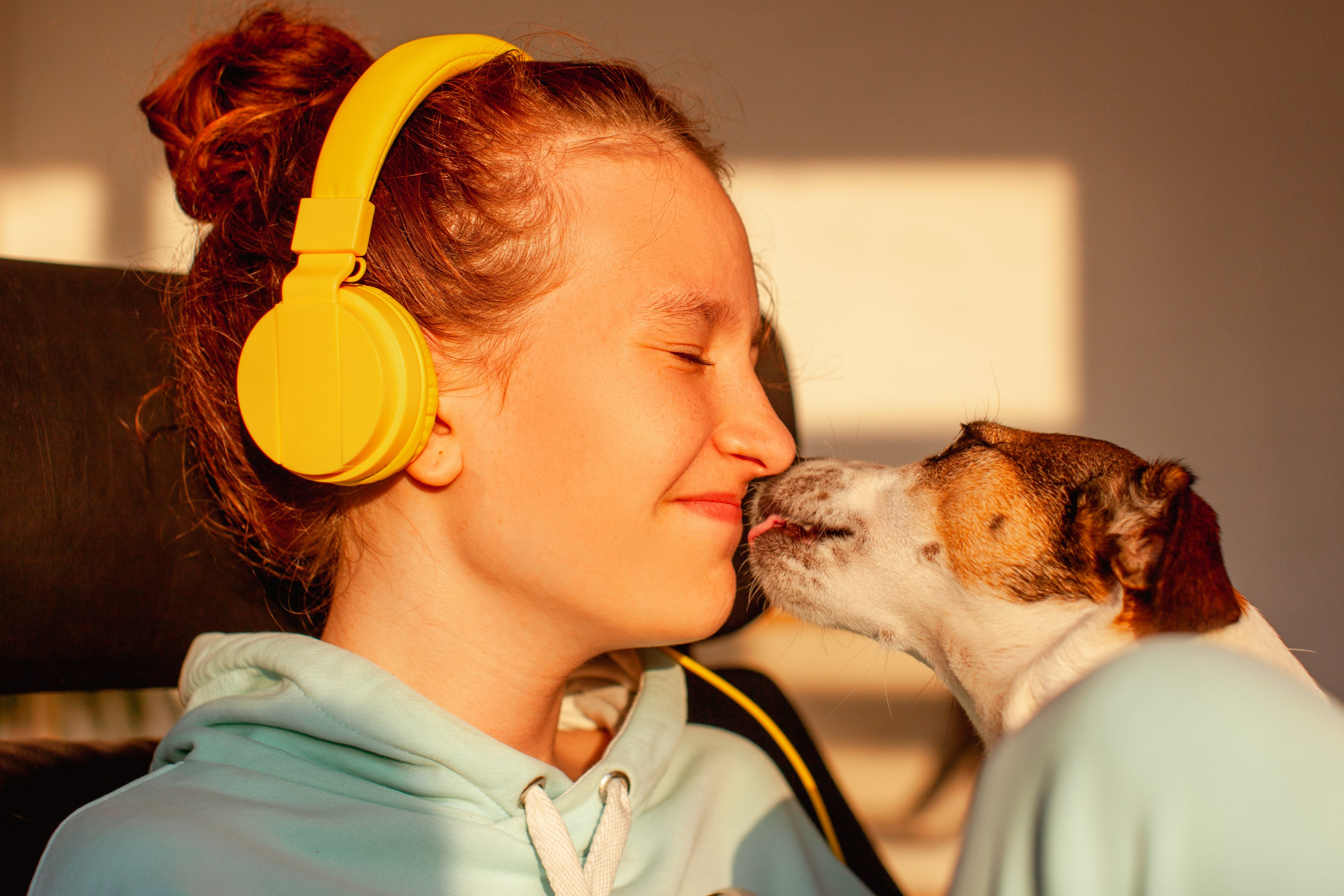 Quando il cane lecca dà i baci?