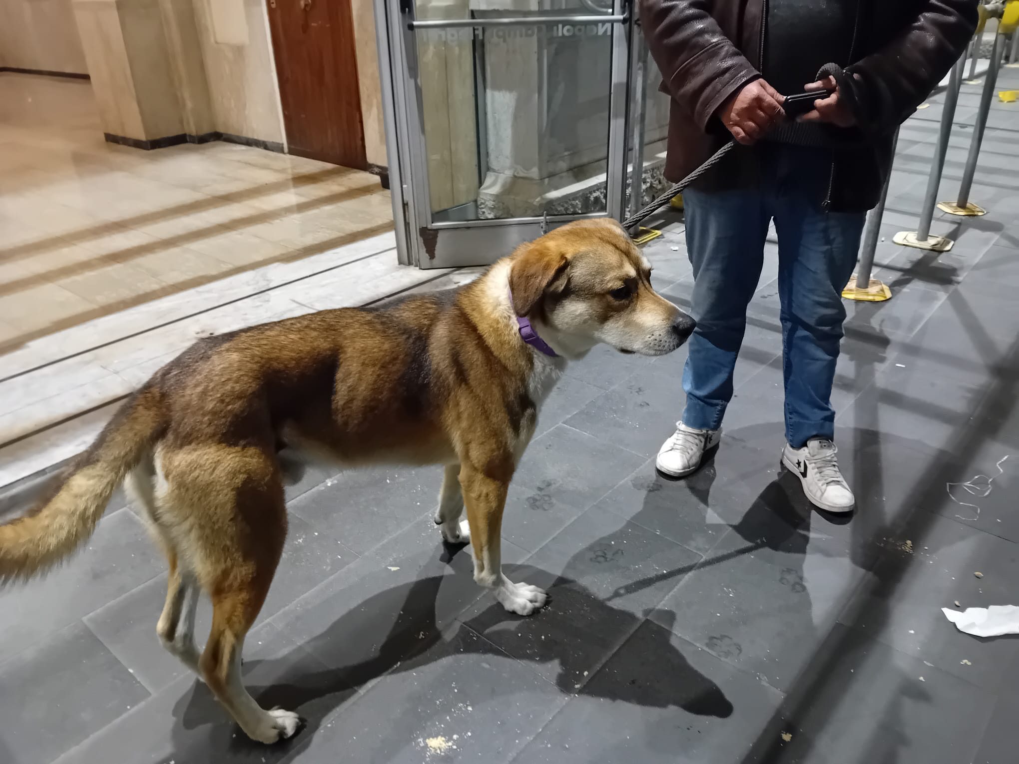 Vincenzo e Leo